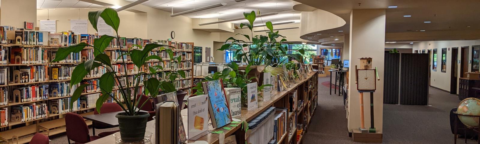 Image of 博天堂官方 Library interior